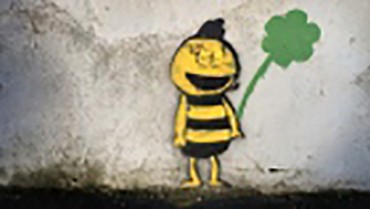 Sight of the bumble bee: Dublin buzzes over mysterious graffiti